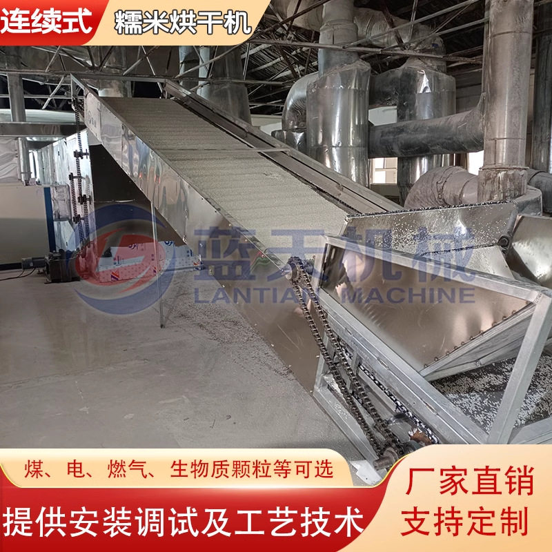 阴米烘干机 网带式熟糯米烘干设备 大型煮熟米饭蒸熟糯米饭干燥机