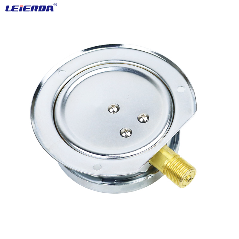 雷尔达 船用耐震防震压力表凸装式 YN-100T 气压液压 径向带后边