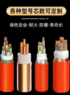 国标矿物质绝缘BBTRZ纯铜芯柔性防火线NG-A(BTLY)工程电力电缆线