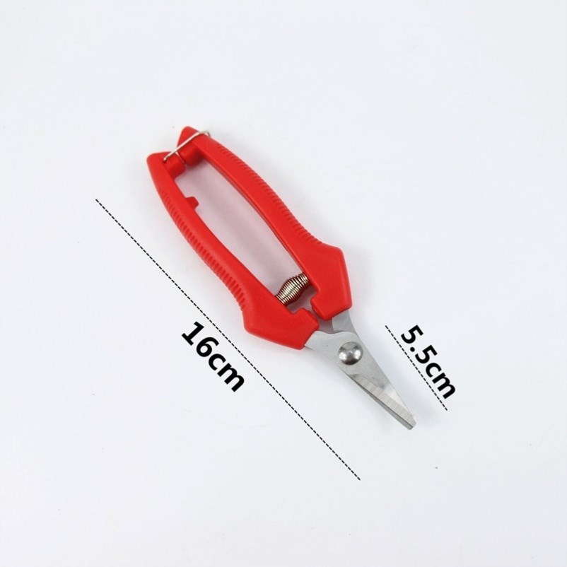 葡萄采果剪柑橘剪桔子蔬果剪修枝摘果剪果K园果树剪采摘翘头剪刀