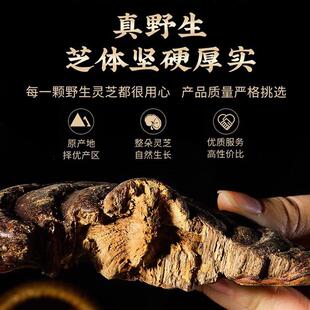 KWN野生赤灵芝红芝柄大整枝无赤芝朵云南长白山散非装灵大芝片500