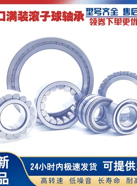 GAL承重满装圆柱滚子轴承SL183020 NCF3020 内径100外径140厚度37