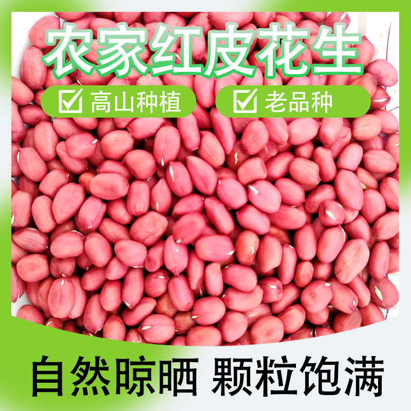 农家种植自然晾晒高山花生