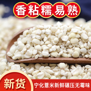 新货宁化薏米仁新鲜散装农家小薏米仁糯薏仁米杂粮福建薏苡仁500g
