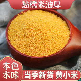 黄小米散装新米粥月子香黏稠甘肃会宁农家5斤小黄米食用五谷杂粮