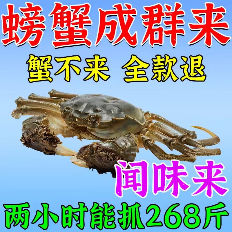 螃蟹成群来】螃蟹饵料抓诱食饵料