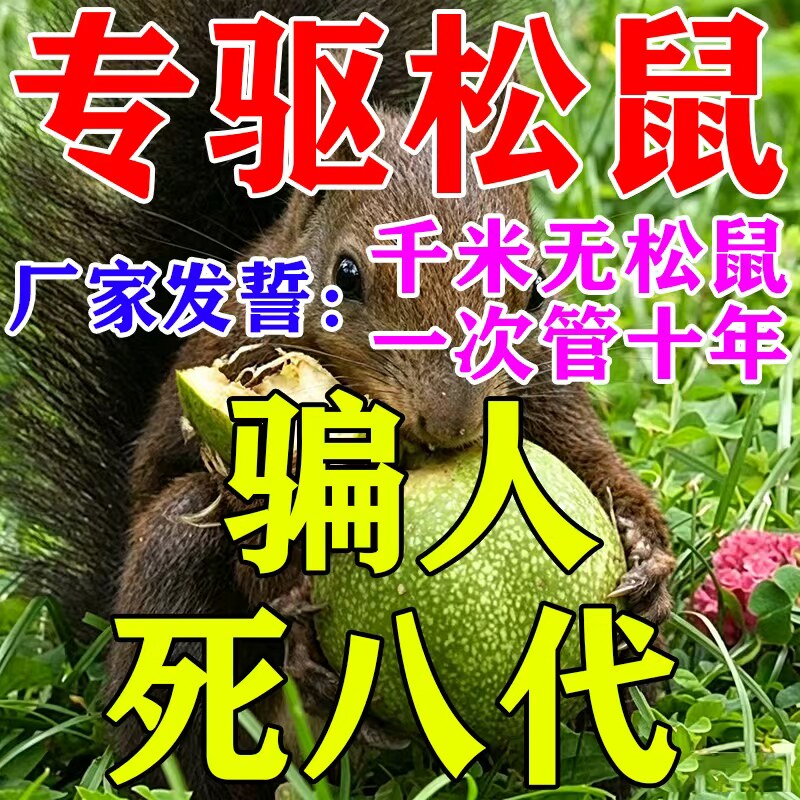 永不再来】驱松鼠神器防松鼠偷吃