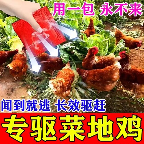 永不再来】驱鸡神器赶防吓鸡鸭鹅