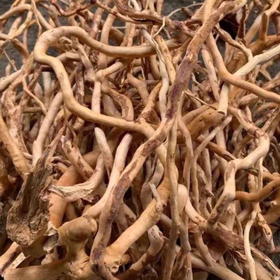 天然杜鹃根枝条 龙须根细枝 草缸南美缸 修饰树枝 微景观造景藤条