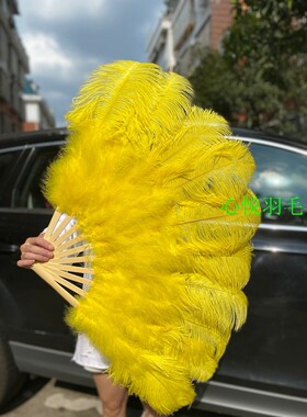 热销大中号鸵鸟羽毛扇子肚皮舞蹈酒吧表演演唱Q会道具羽毛绒大扇