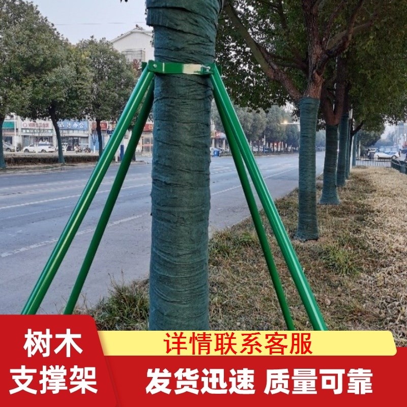 喷塑行道圆管套杯金属树t木支撑架大杆防倒镀锌钢管支架套装园林