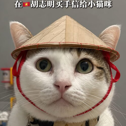 越南猫咪手工竹编斗笠拍照道具