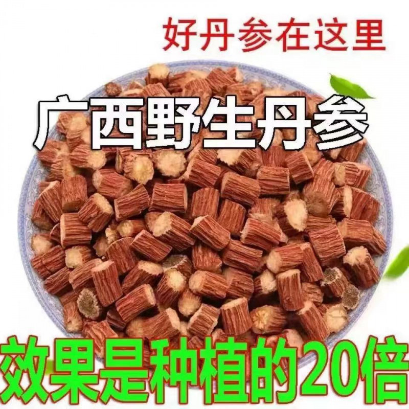 正宗秦岭紫丹参野生500g天然无硫