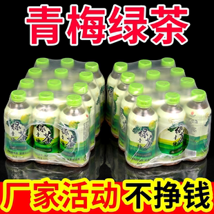 活动促销 升级包装 整箱夏季 瓶装 果味 青梅绿茶茶饮料酸甜解渴360ml