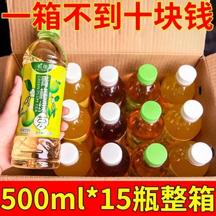 青梅绿茶500ml 15瓶新品 茶饮料果茶饮品整箱清凉饮品囤货多口味