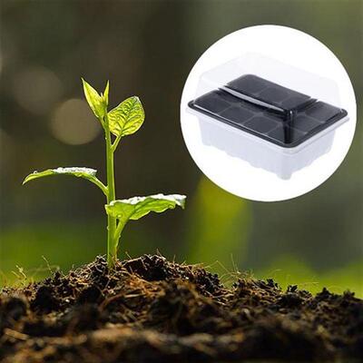 Tray Trays Starter Growing Germination Grow Potting