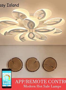 Nordic Ceiling lights  post-modern living room Fixtures room