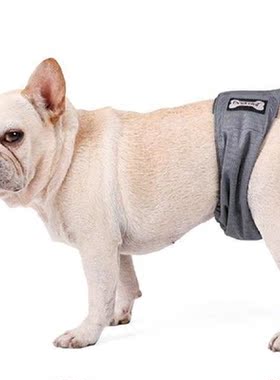 Dog Physiological Pants Diaper Sanitary Washable Female Dog