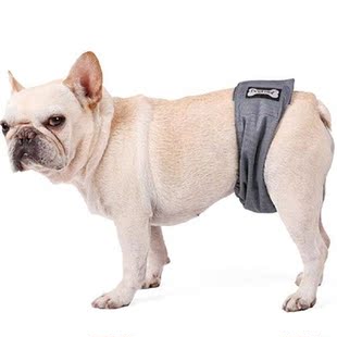 Dog Physiological Pants Diaper Sanitary Washable Female Dog