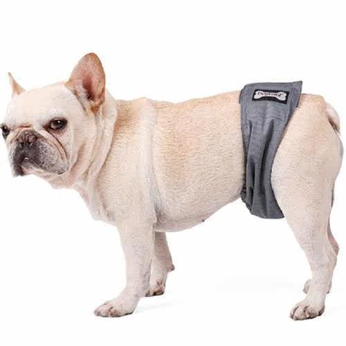 Dog Physiological Pants Diaper Sanitary Washable Female Dog