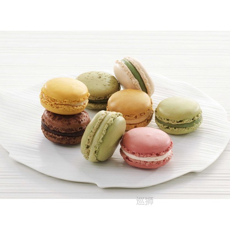 Baking mold heat resistant macarone silicone pad silicone ca