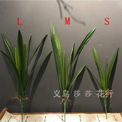 S M L Real Touch Gladiolus Cymbidium Hyridus Orchid Leaf  Wh