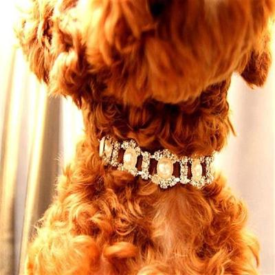 Pet Necklace Dog Collar Pearl Rhinestone Pendant Jewelry