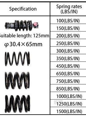 Taiwan EXA 290&291R and DNM DV-22&DV-22AR Scooter bi