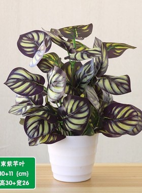 Yan plastic fake simulation furnishing articles inside and