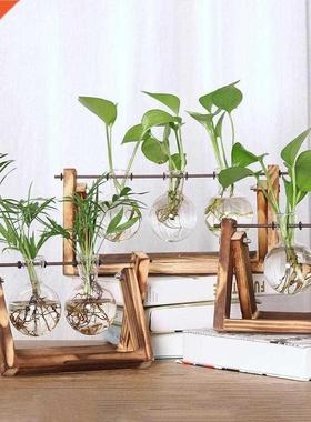 Desktop Clear Glass Planter Bulb Vase Terrarium Retro Wood S