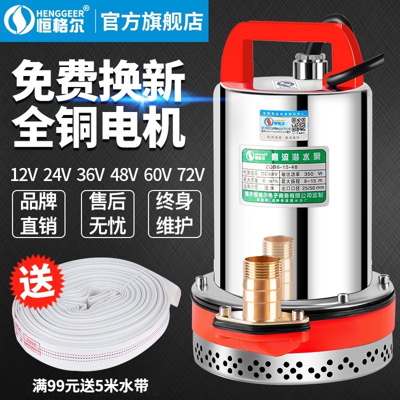 DC submersible pump 12V24V48V60V volt battery truck pump sma