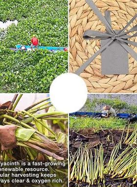 6 Pack Round Water Hyacinth Placemat,Quality Woven Wicker Ta