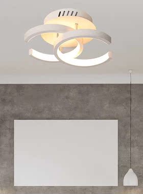 Modern Home LED Aisle Corridor Ceiling Lamp Personality Entr