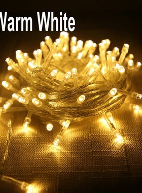 Xmas Outdoor Christmas Tree Light Led String Lights 100M 10M