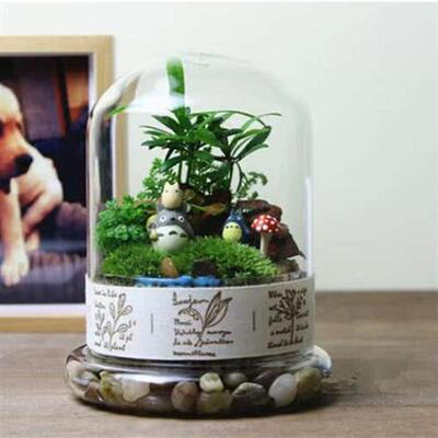 1PC Micro landscape ecological glass bottle fleshy moss