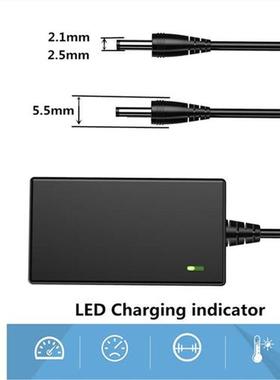 16.8V 21V 8.4V 12.6V 12V 2A Charger DC 5.5*2.1mm 18650 Char
