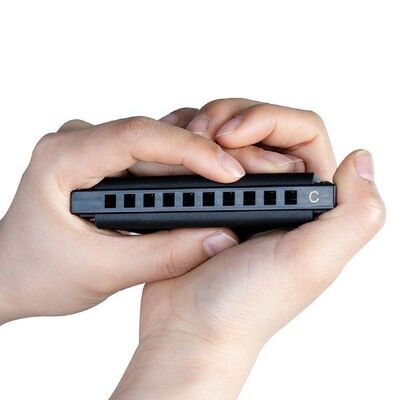 10-Hole Diatonic Blues Harmonica for Beginners Professional