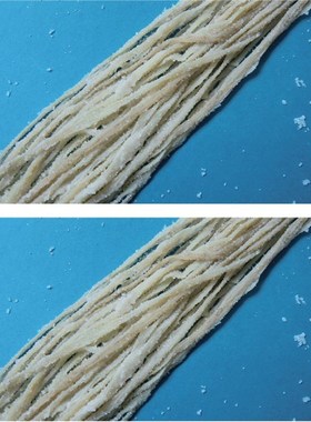 1 Bag Salted Casings for Sausage Salami Filling meat 10-12kg