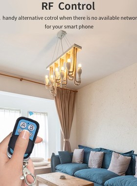 Itead  Basic/RF 433Mhz Remote Controller WiFi Switch Smart S