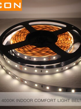 Flexible Rope lights CRI Ra90 2835 DC24V 60 Leds Controller