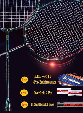2pcs Professional Badminton Rackets Set Family Double Badmin