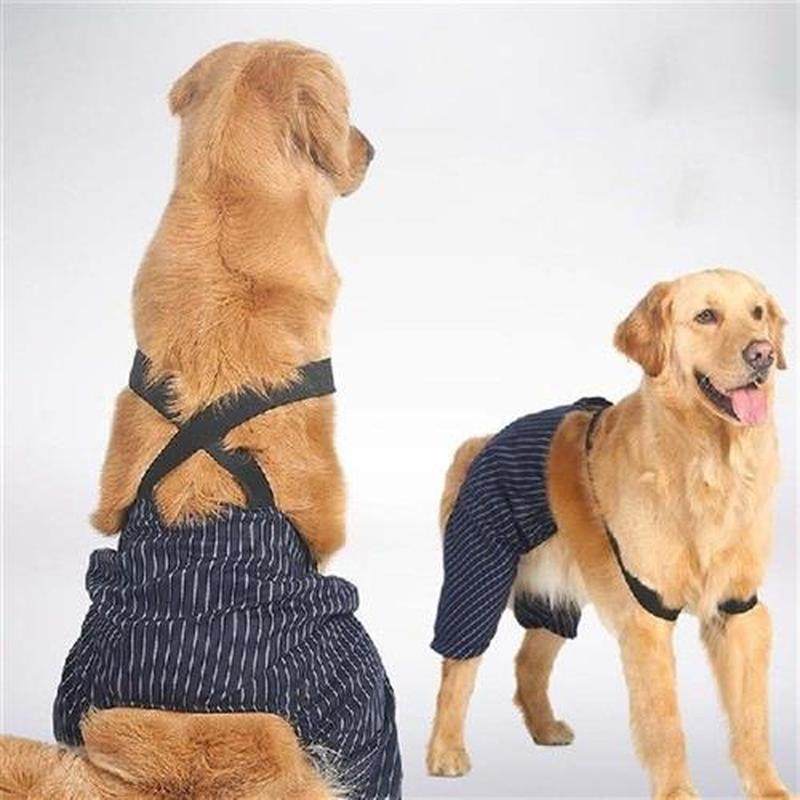 Large Dog Clothes Big Dogs coat pants Stripes Bowknot