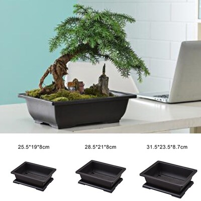 Flower Pots Bonsai-Basin Rectangle-Vase Garden-Planters Succ