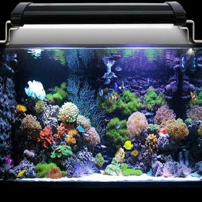 Fish Tank Light With Extendable Brackets Aquarium Light