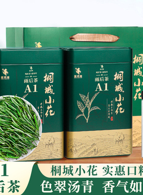 霍将军桐城小花2025新茶叶A1A2安徽龙眠山春绿茶自己喝250克罐装