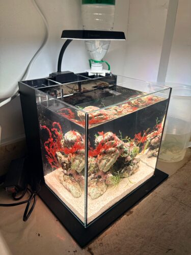 桌面海水缸水刀切割黑玻璃鱼梳干湿分离防溢流顺丰快递25方30方