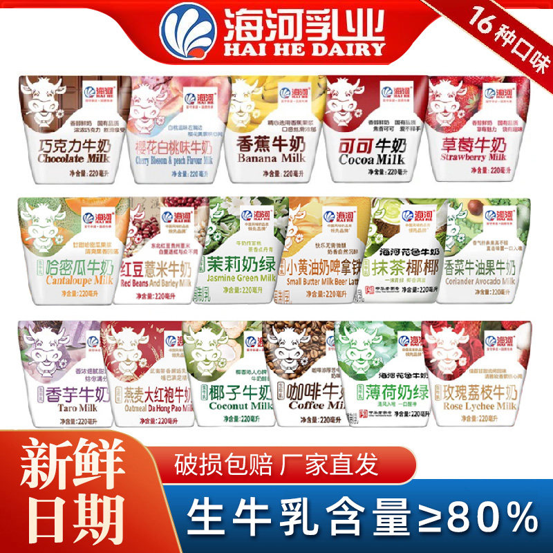 天津海河牛奶巧克力营养早餐学生可可儿童水果奶饮品整箱草莓咖啡