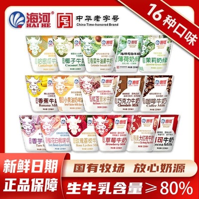 海河牛奶天津巧克力营养早餐奶