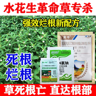 配方 水花生克星烂根剂专杀连根除革命草莲子草水葫芦专用除草套装