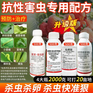 高效氯氟氰菊酯菜虱螨脲专用青虫果树瓜果蔬菜绿植通用卫生杀虫剂